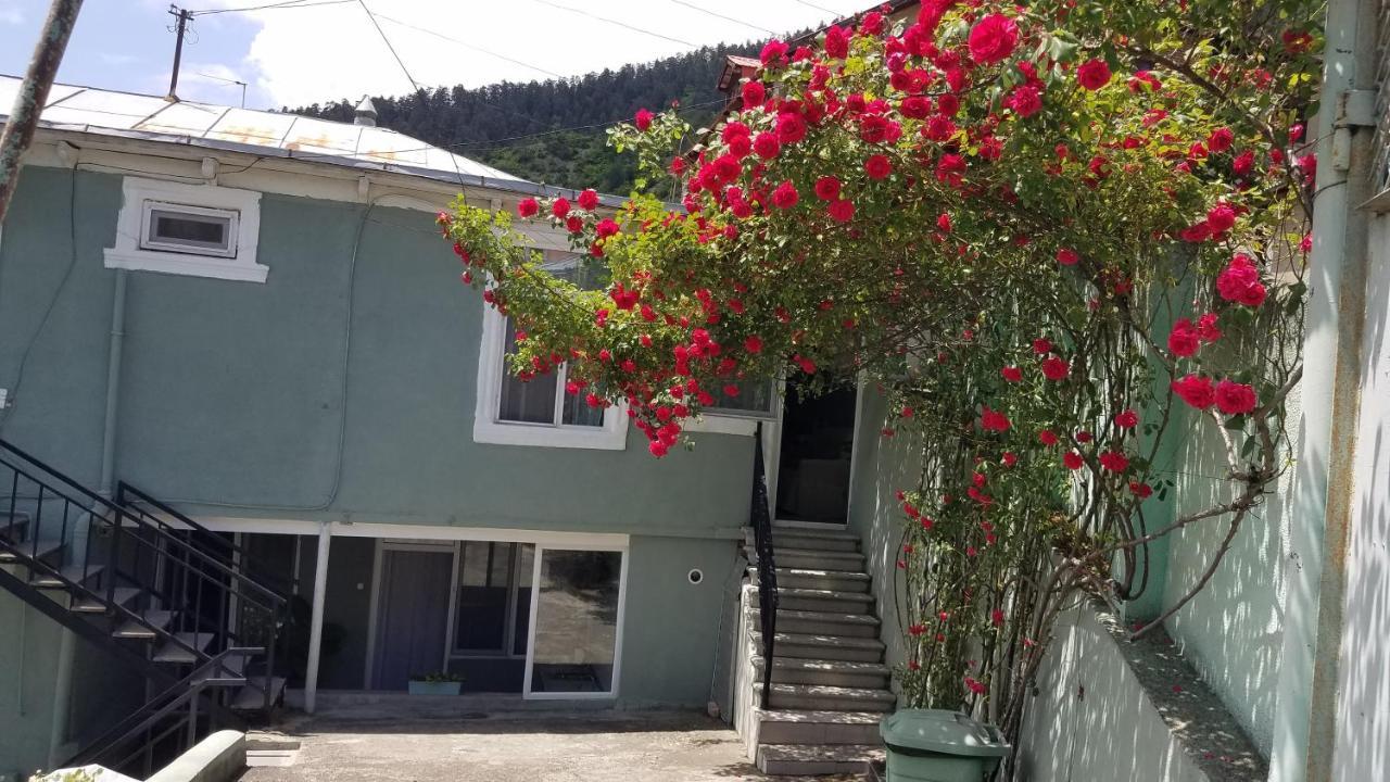 Guest House Green Rose Borjomi Exterior foto